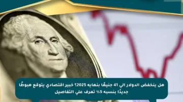 هل ينخفض الدولار إلى 41 جنيهًا بنهاية 2025؟ خبير اقتصادي يتوقع هبوطًا جديدًا بنسبة 5% تعرف على التفاصيل